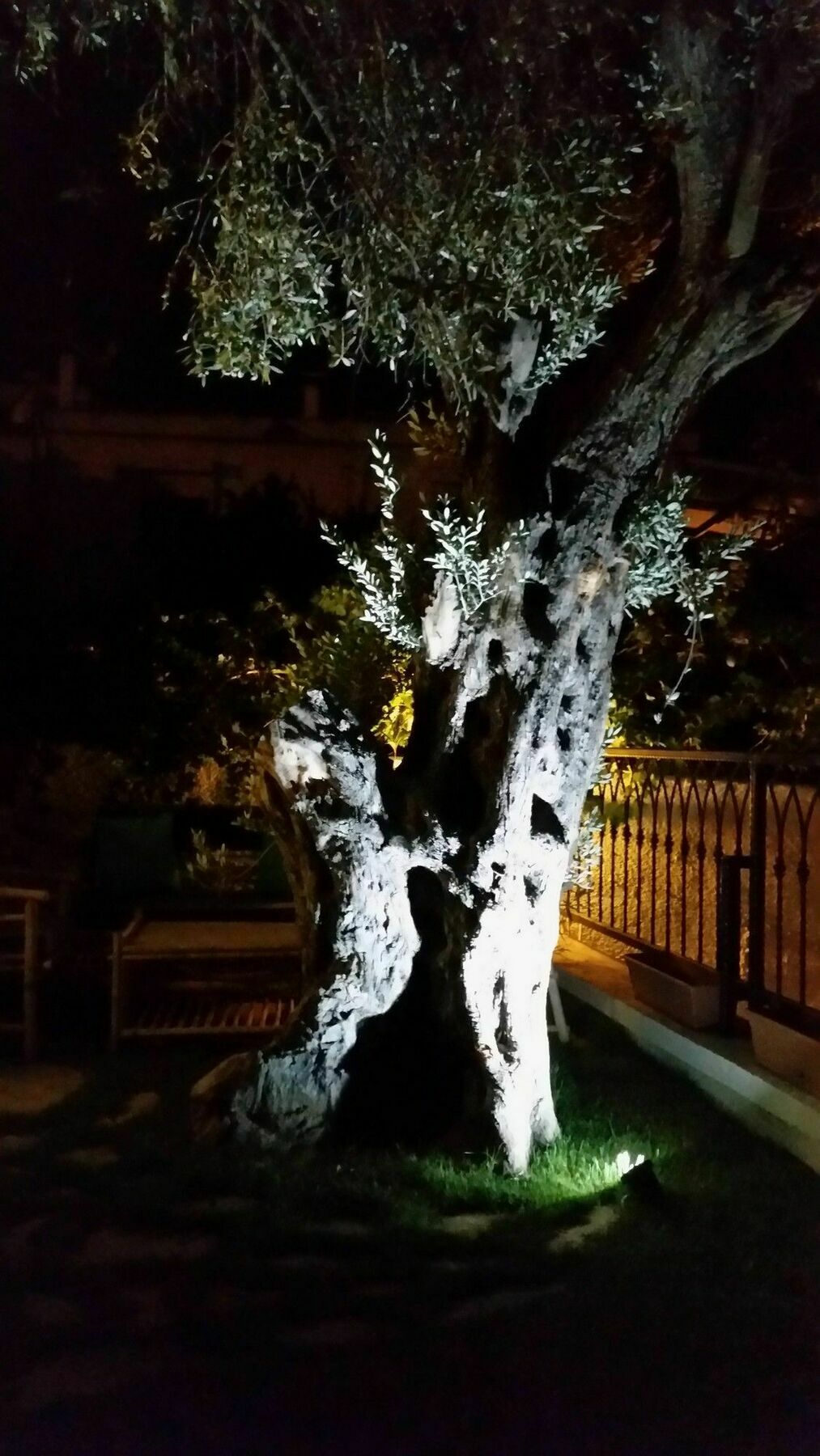 Cassiopeia Hotel Alacati Exterior photo
